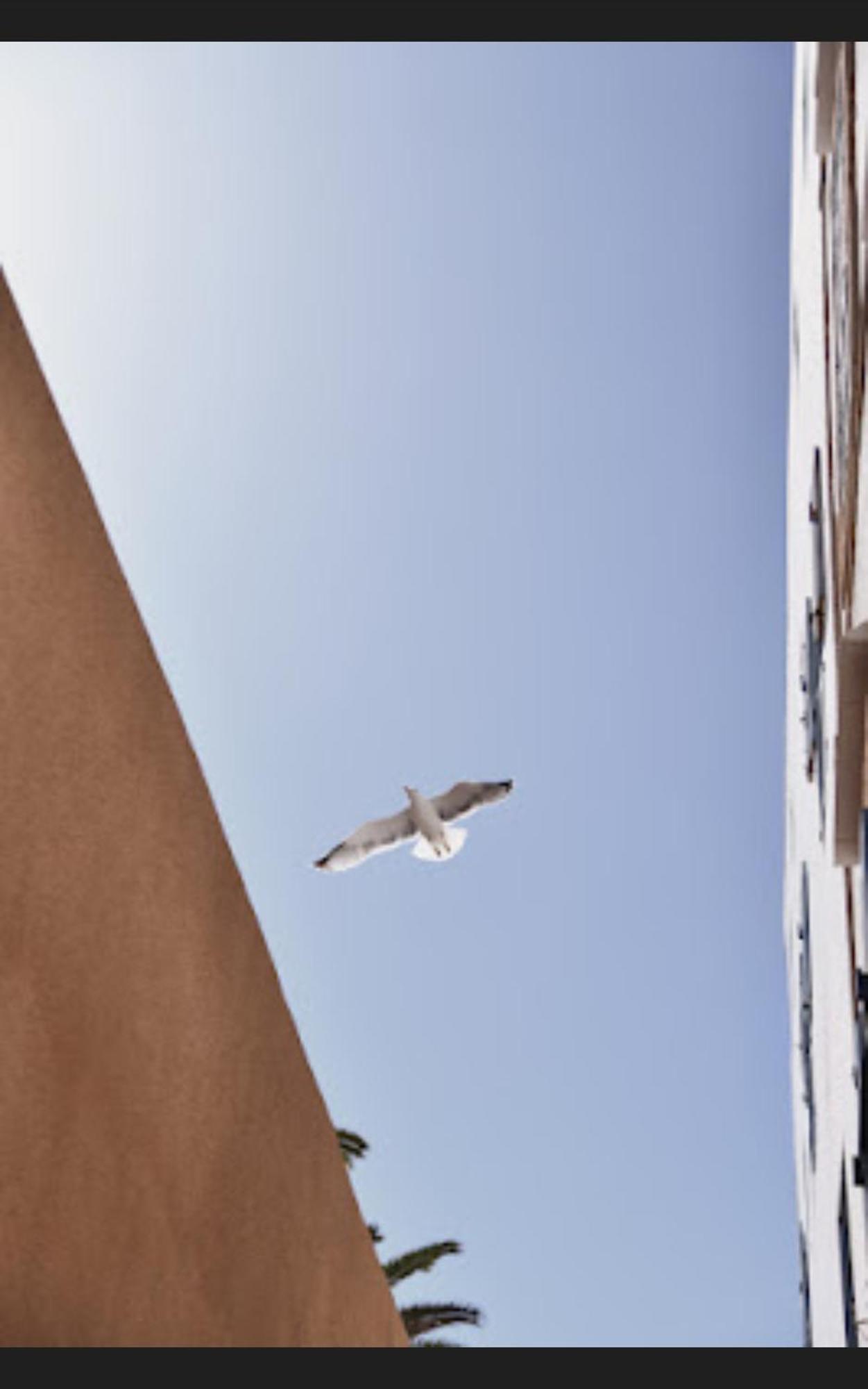 Loft Incroyable En Medina Appartement Essaouira Buitenkant foto